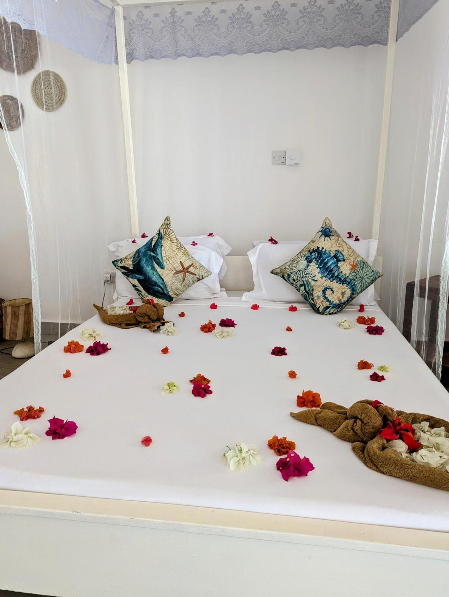 Bahati Villa Kiwengwa  Εξωτερικό φωτογραφία